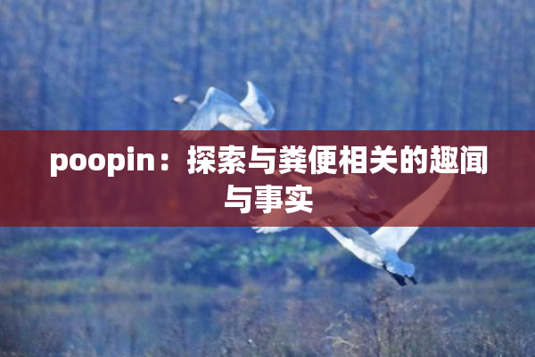 poopin：探索与粪便相关的趣闻与事实