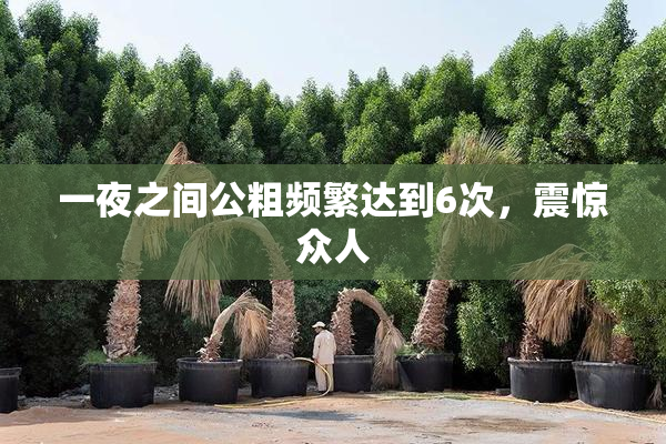 一夜之间公粗频繁达到6次，震惊众人
