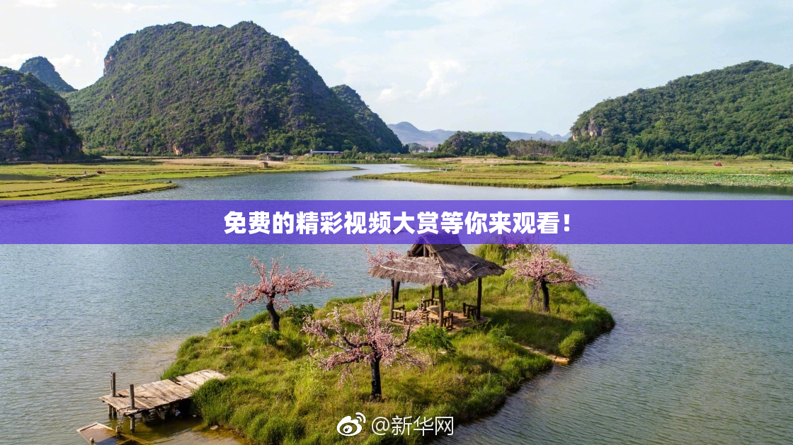 免费的精彩视频大赏等你来观看！