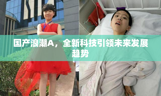 国产浪潮A，全新科技引领未来发展趋势