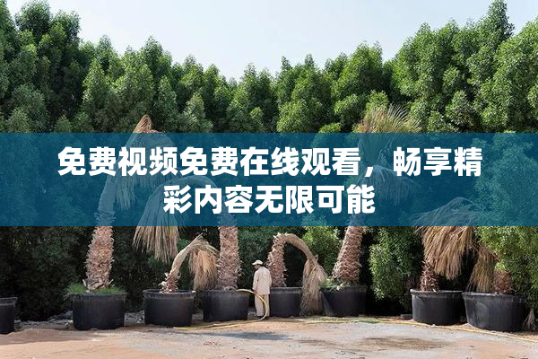 免费视频免费在线观看，畅享精彩内容无限可能