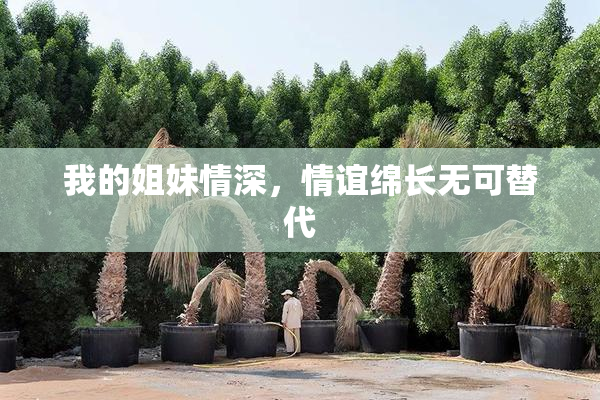 我的姐妹情深，情谊绵长无可替代