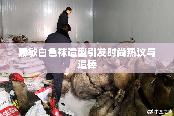 赫敏白色袜造型引发时尚热议与追捧