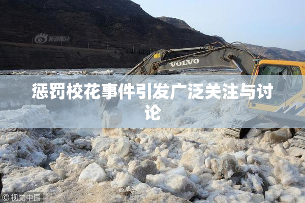 惩罚校花事件引发广泛关注与讨论