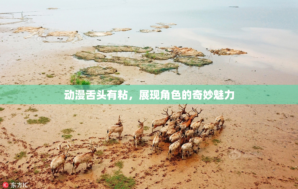 动漫舌头有粘，展现角色的奇妙魅力