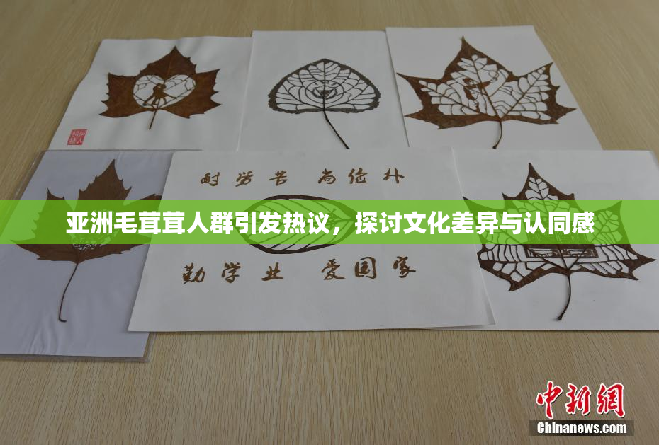 亚洲毛茸茸人群引发热议，探讨文化差异与认同感