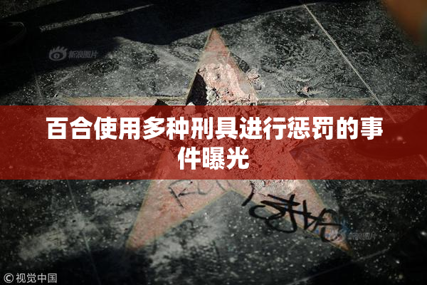 百合使用多种刑具进行惩罚的事件曝光