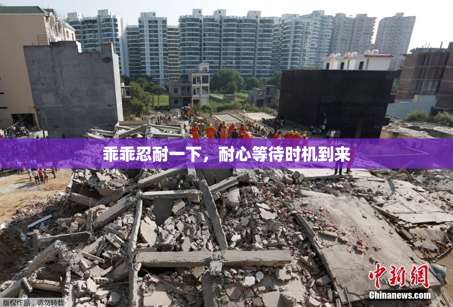 乖乖忍耐一下，耐心等待时机到来