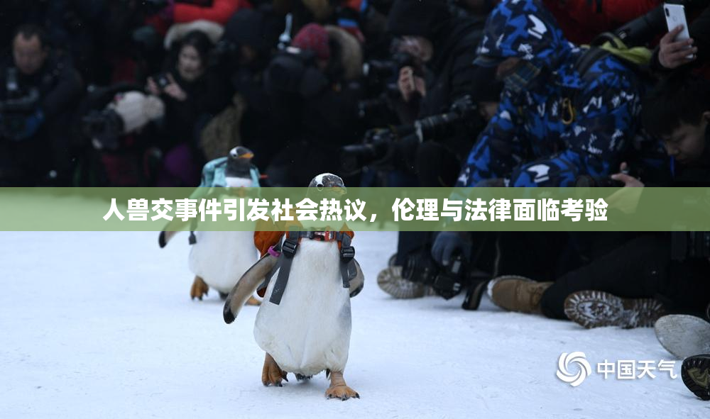 人兽交事件引发社会热议，伦理与法律面临考验