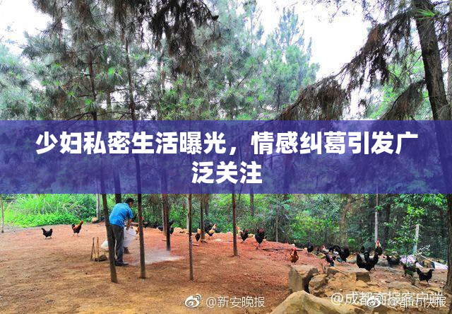 少妇私密生活曝光，情感纠葛引发广泛关注
