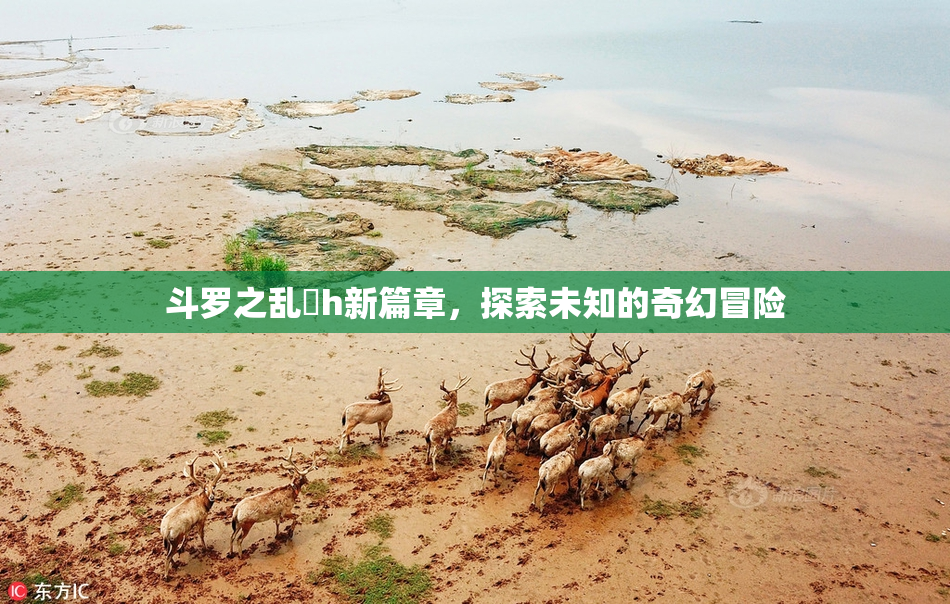 斗罗之乱婬h新篇章，探索未知的奇幻冒险