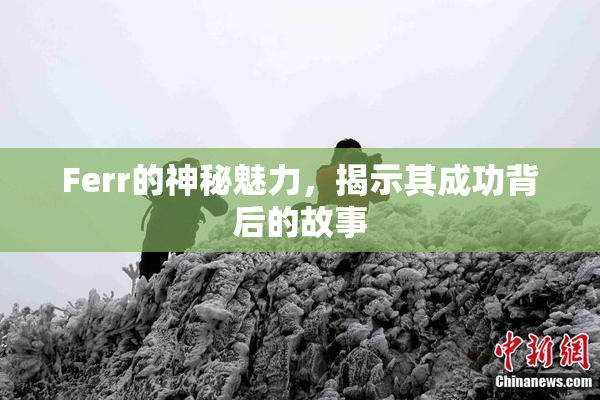 Ferr的神秘魅力，揭示其成功背后的故事