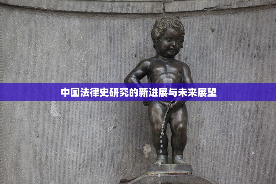 中国法律史研究的新进展与未来展望