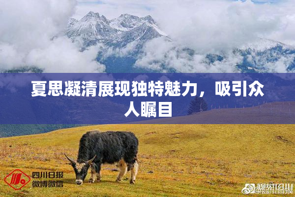 夏思凝清展现独特魅力，吸引众人瞩目