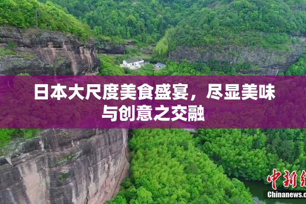 日本大尺度美食盛宴，尽显美味与创意之交融