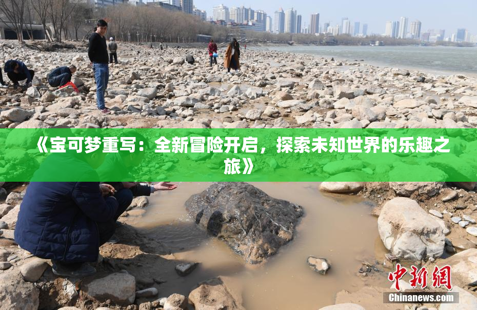《宝可梦重写：全新冒险开启，探索未知世界的乐趣之旅》