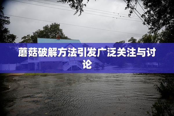 蘑菇破解方法引发广泛关注与讨论