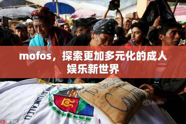 mofos，探索更加多元化的成人娱乐新世界