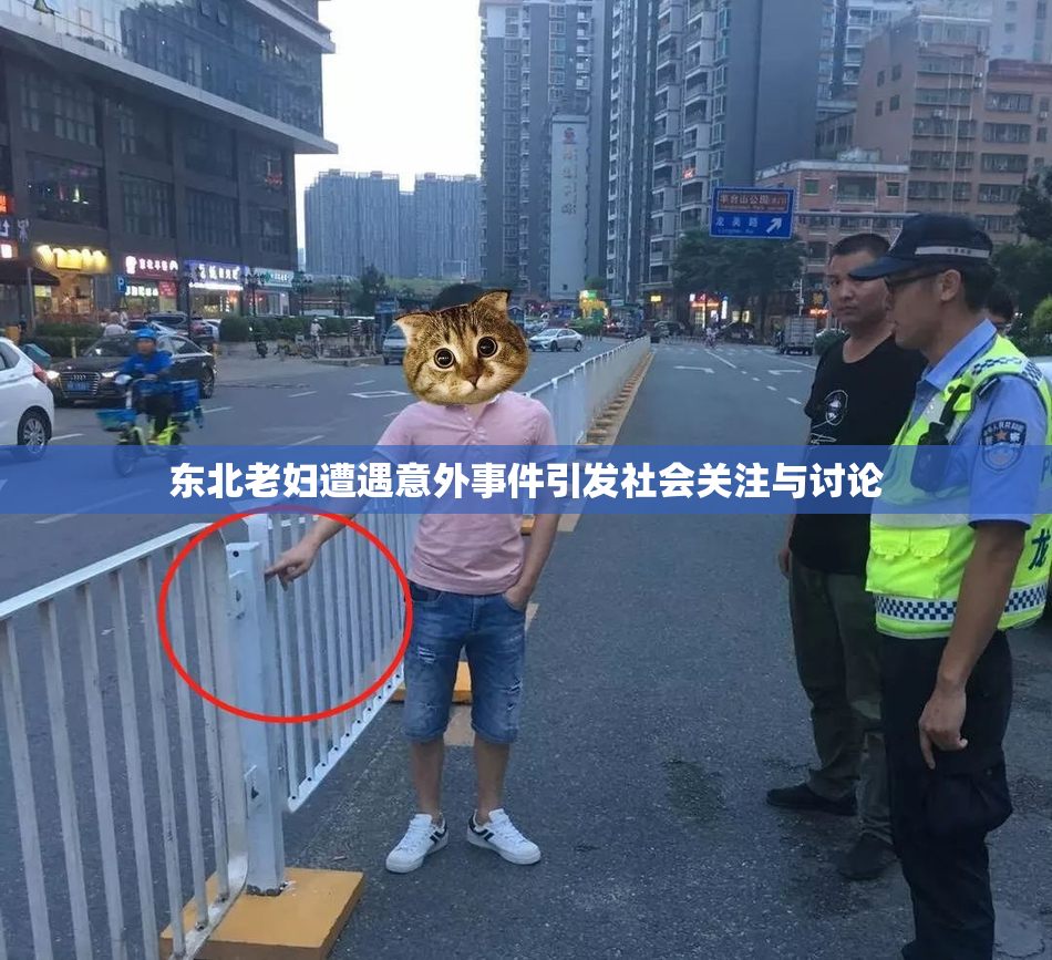 东北老妇遭遇意外事件引发社会关注与讨论
