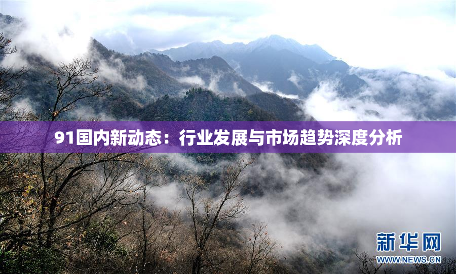 91国内新动态：行业发展与市场趋势深度分析