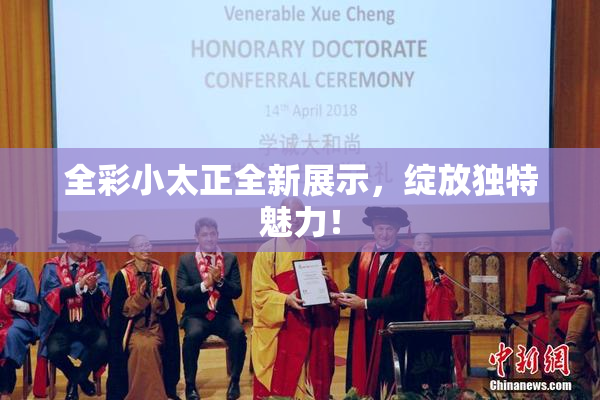 全彩小太正全新展示，绽放独特魅力！