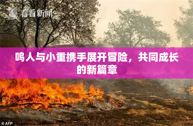 鸣人与小重携手展开冒险，共同成长的新篇章