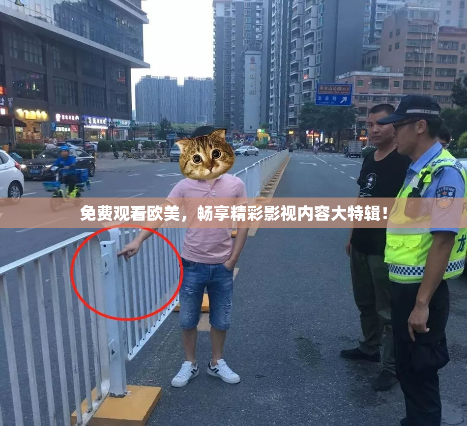 免费观看欧美，畅享精彩影视内容大特辑！