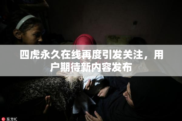 四虎永久在线再度引发关注，用户期待新内容发布