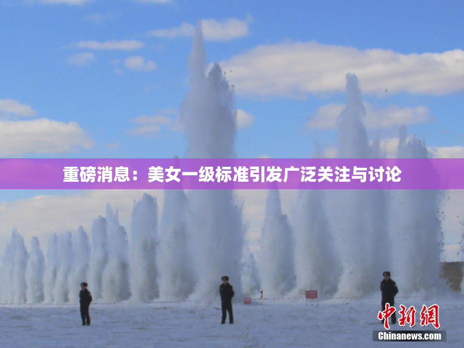 重磅消息：美女一级标准引发广泛关注与讨论