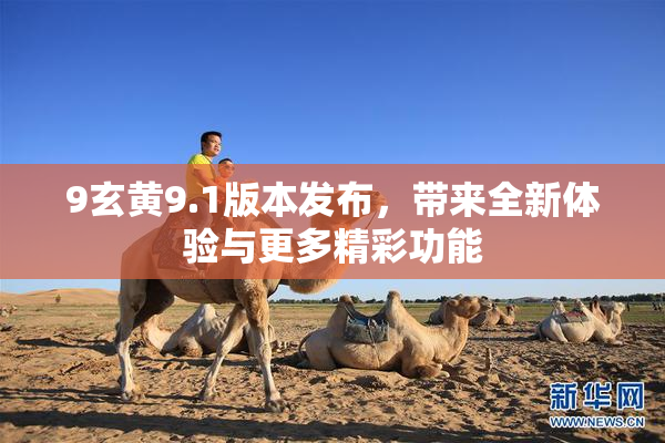 9玄黄9.1版本发布，带来全新体验与更多精彩功能
