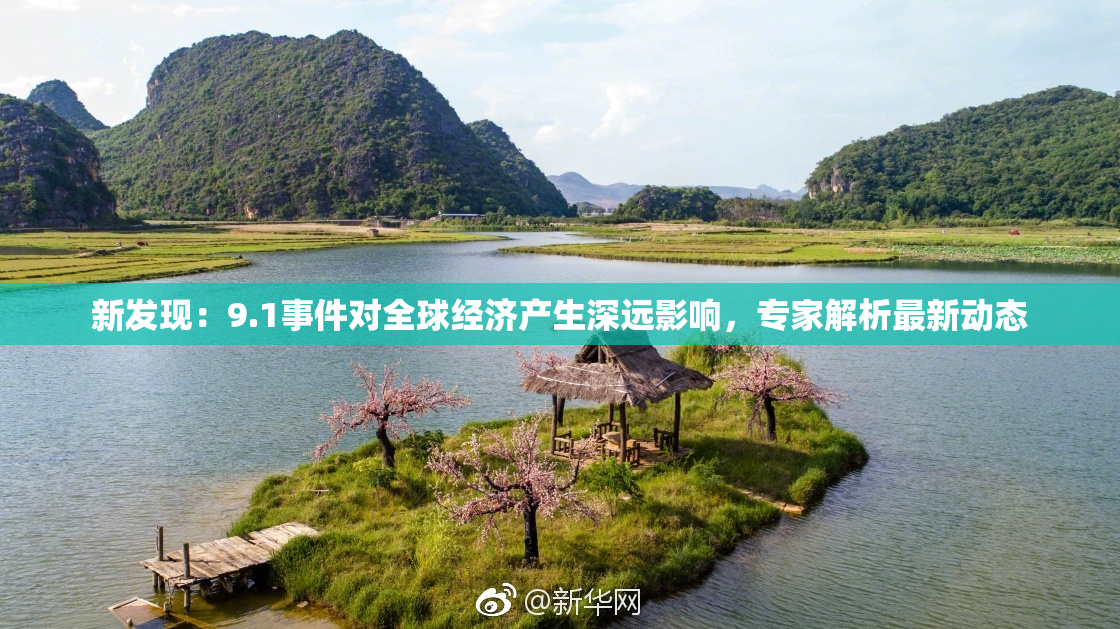 新发现：9.1事件对全球经济产生深远影响，专家解析最新动态