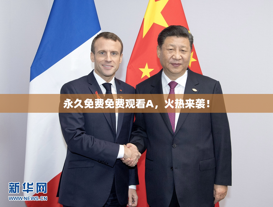 永久免费免费观看A，火热来袭！