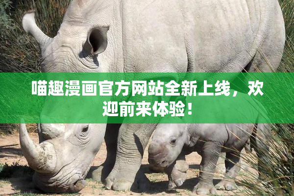 喵趣漫画官方网站全新上线，欢迎前来体验！