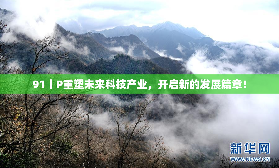 91丨P重塑未来科技产业，开启新的发展篇章！