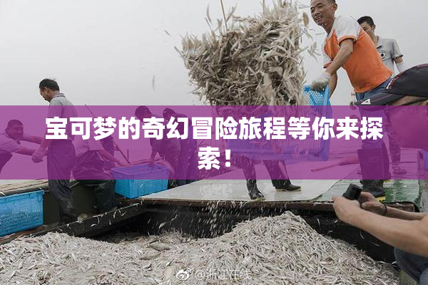 宝可梦的奇幻冒险旅程等你来探索！