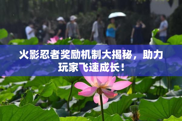 火影忍者奖励机制大揭秘，助力玩家飞速成长！