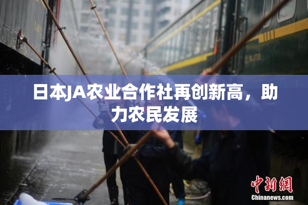 日本JA农业合作社再创新高，助力农民发展
