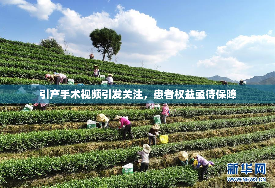 引产手术视频引发关注，患者权益亟待保障