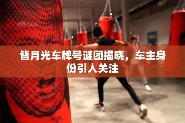 皆月光车牌号谜团揭晓，车主身份引人关注