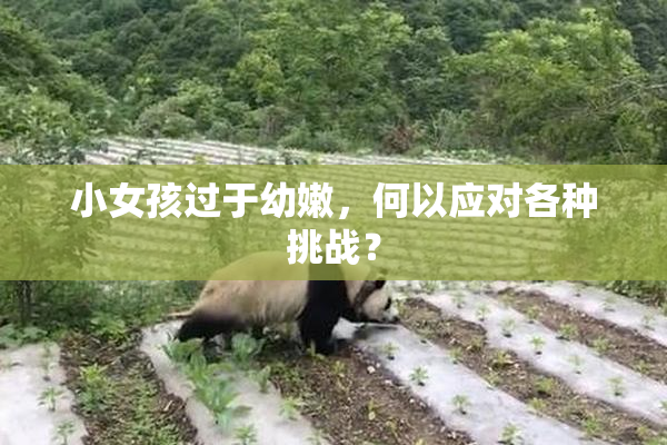 小女孩过于幼嫩，何以应对各种挑战？