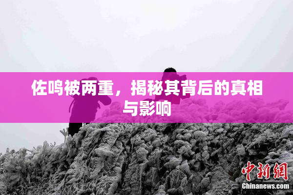 佐鸣被两重，揭秘其背后的真相与影响
