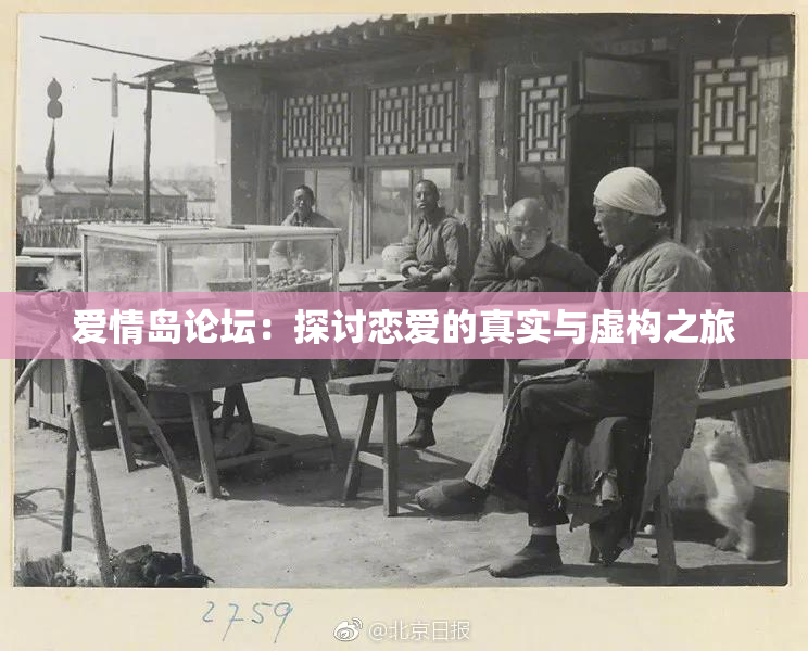 爱情岛论坛：探讨恋爱的真实与虚构之旅