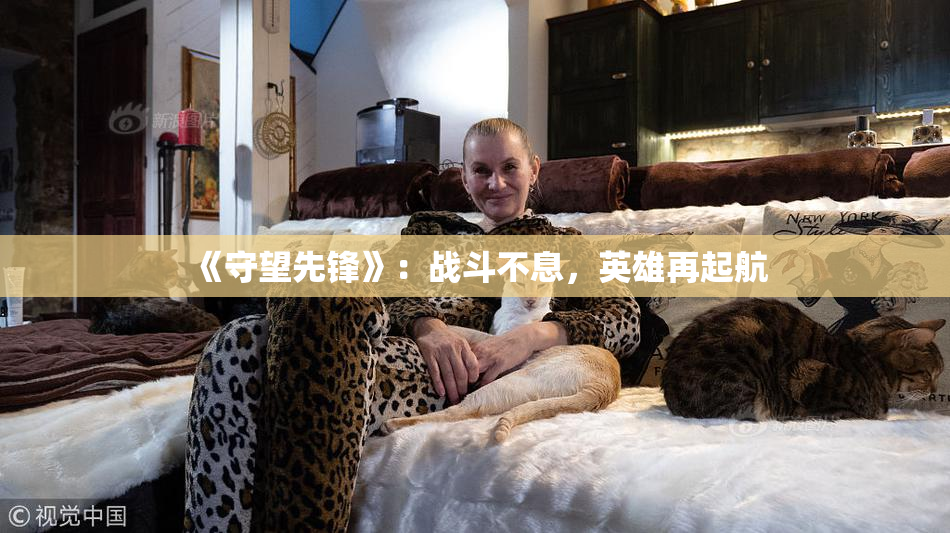 《守望先锋》：战斗不息，英雄再起航