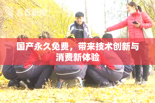 国产永久免费，带来技术创新与消费新体验