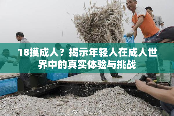 18摸成人？揭示年轻人在成人世界中的真实体验与挑战