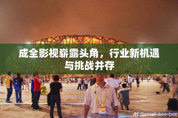 成全影视崭露头角，行业新机遇与挑战并存