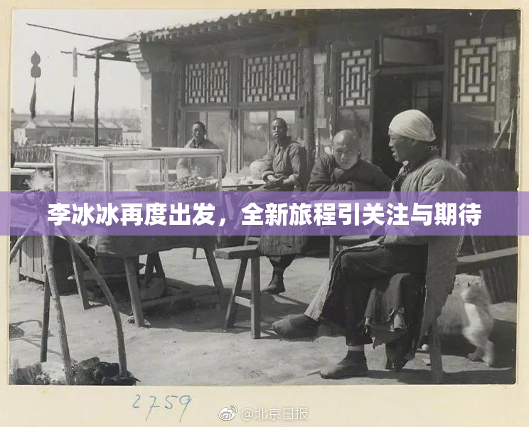 李冰冰再度出发，全新旅程引关注与期待