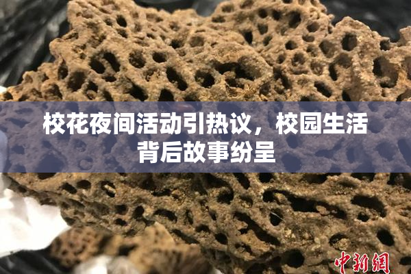 校花夜间活动引热议，校园生活背后故事纷呈