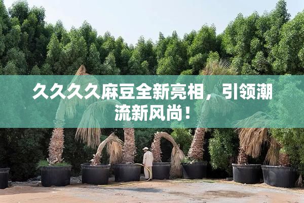 久久久久麻豆全新亮相，引领潮流新风尚！
