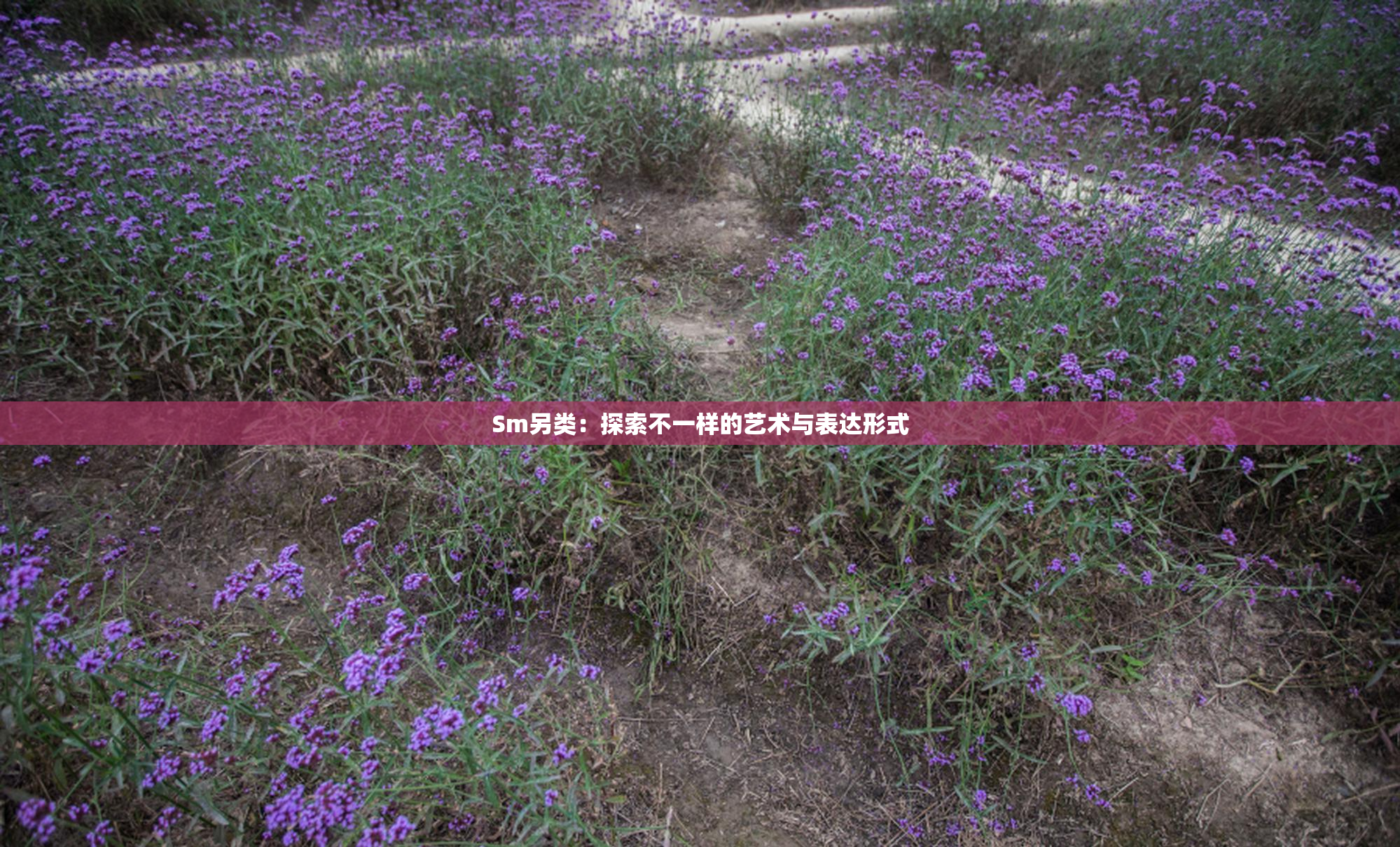 Sm另类：探索不一样的艺术与表达形式